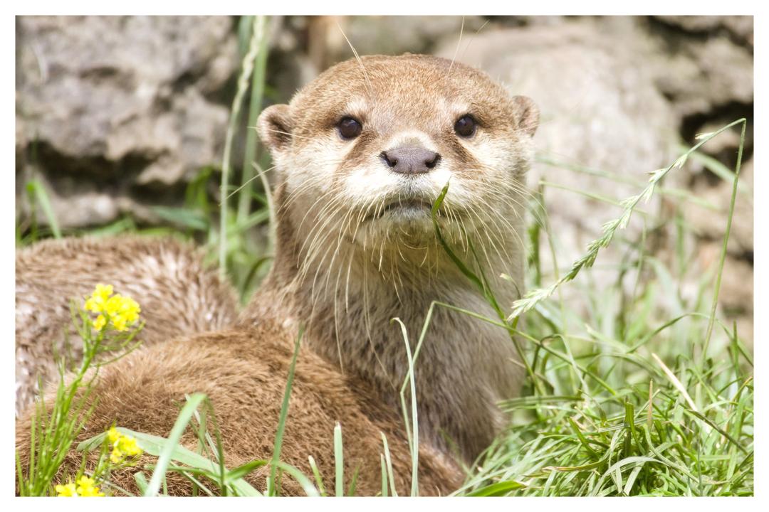 Blackpool Zoo